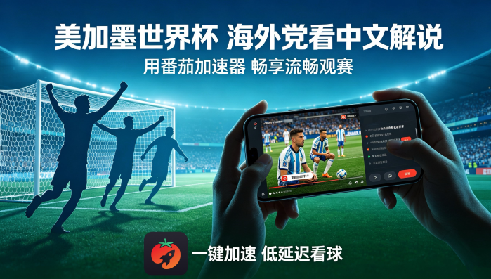 在美国看世界杯无法播放教程